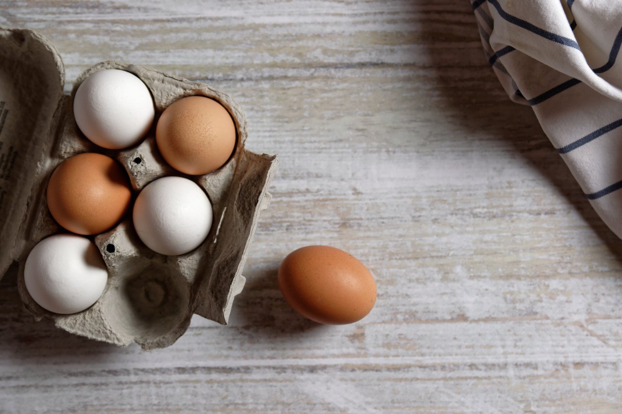 Студия Артемия Лебедева судится с барнаульским производителем яиц из-за прав на шрифт
